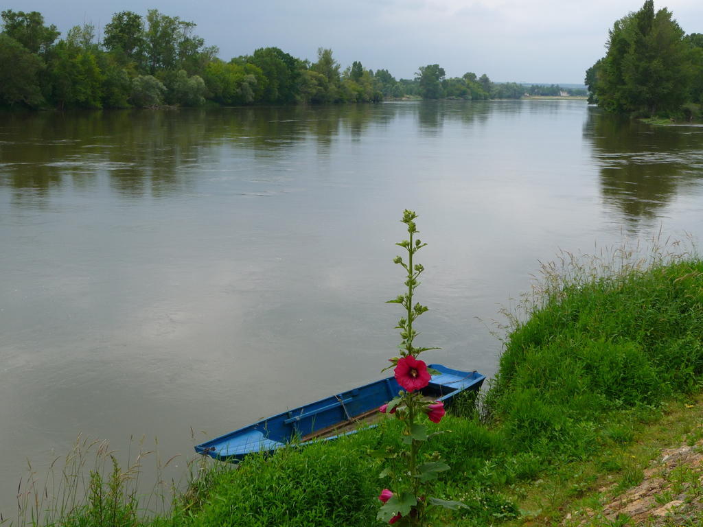 Escale De Loire Bed & Breakfast Chouze-sur-Loire Exterior photo