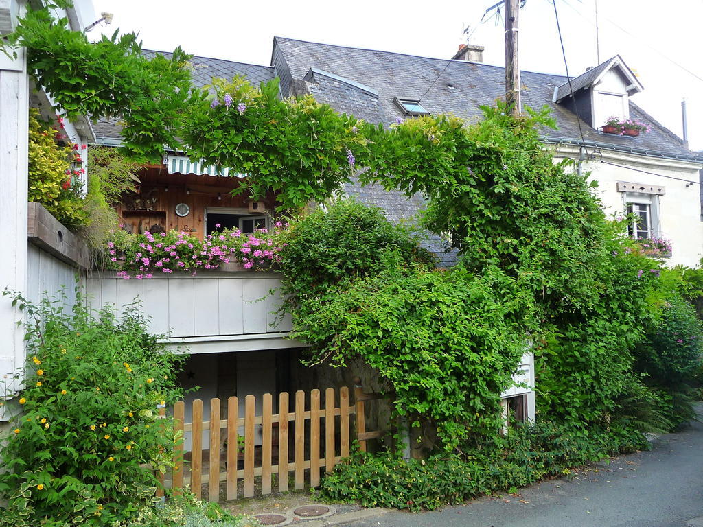 Escale De Loire Bed & Breakfast Chouze-sur-Loire Exterior photo