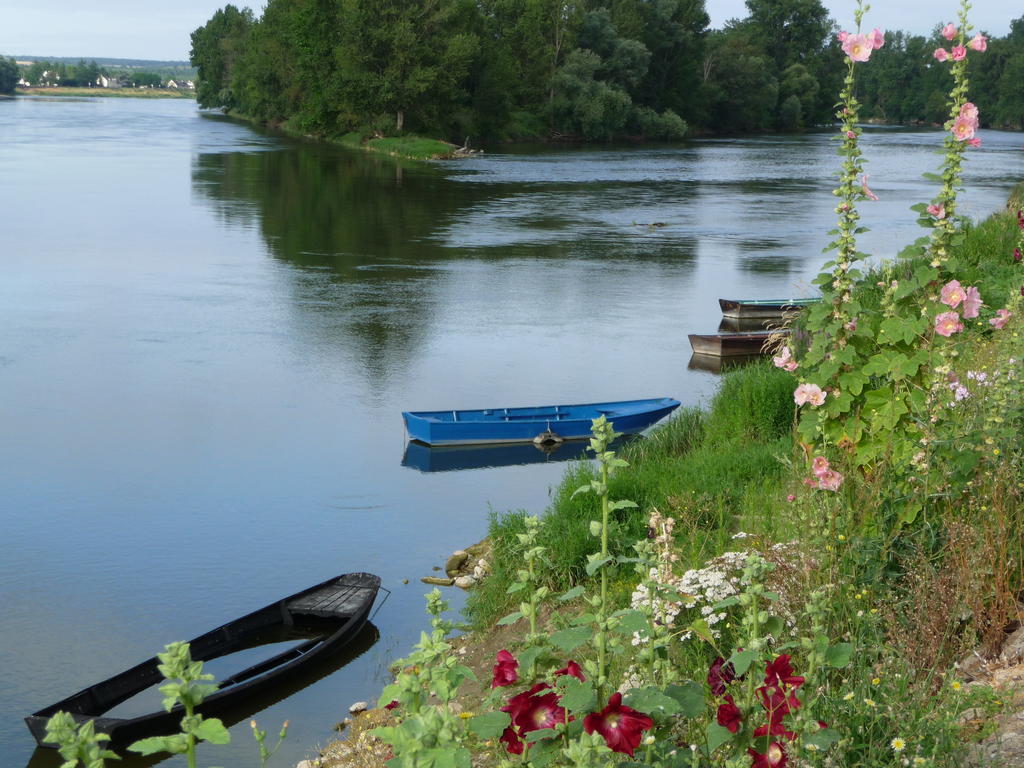 Escale De Loire Bed & Breakfast Chouze-sur-Loire Exterior photo